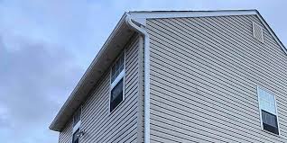 Best Custom Trim and Detailing for Siding  in Coal City, IL